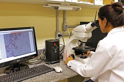 BIOFÁBRICA - CETENE'