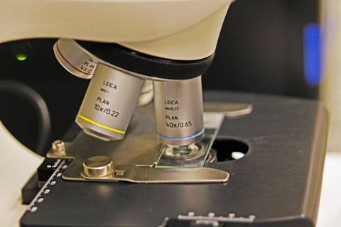 BIOFÁBRICA - CETENE'