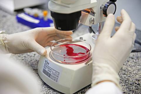 BIOFÁBRICA - CETENE'