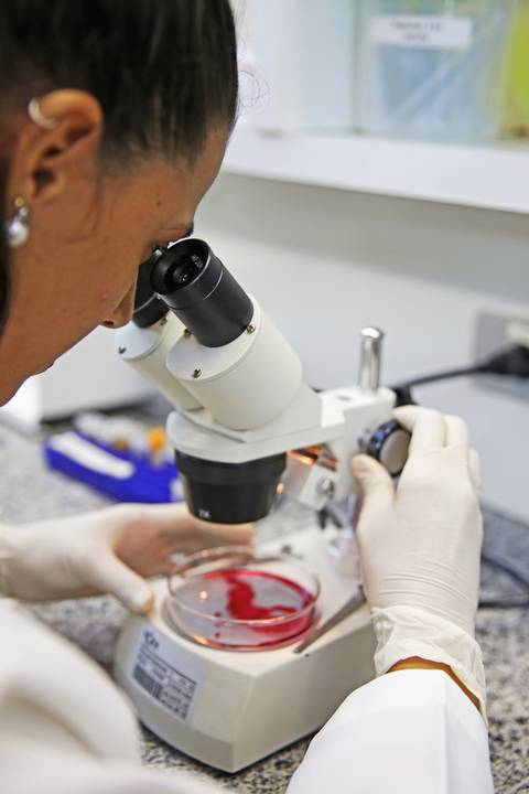 BIOFÁBRICA - CETENE'