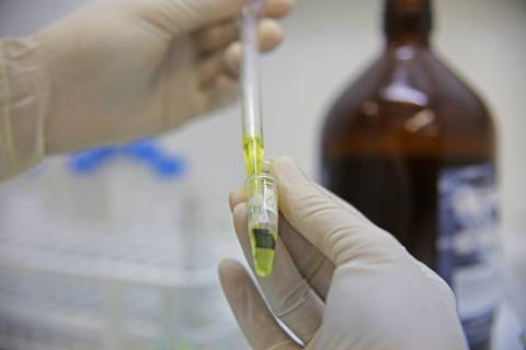 BIOFÁBRICA - CETENE'