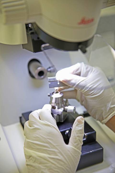 BIOFÁBRICA - CETENE'