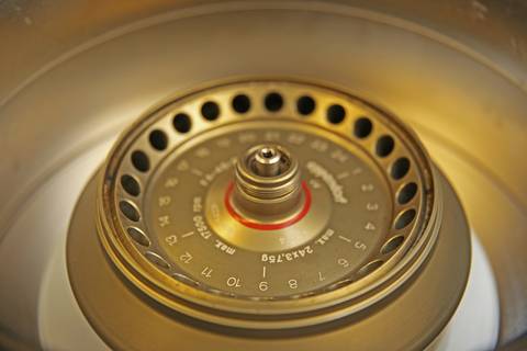 BIOFÁBRICA - CETENE'