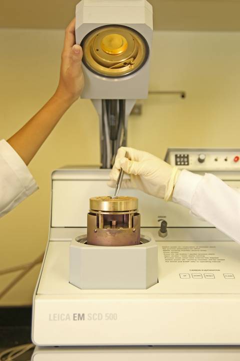 BIOFÁBRICA - CETENE'