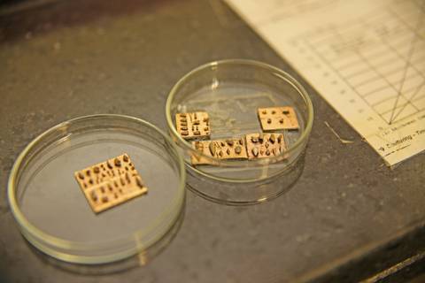 BIOFÁBRICA - CETENE'