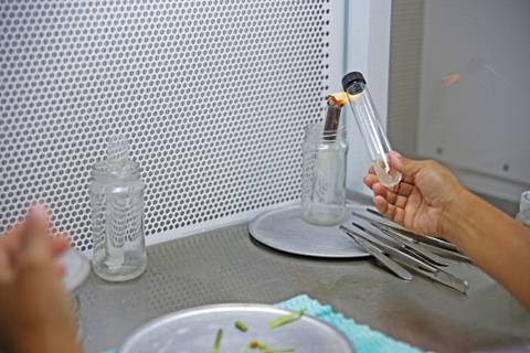 BIOFÁBRICA - CETENE'