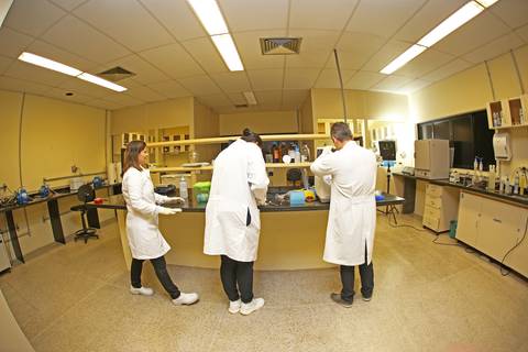 BIOFÁBRICA - CETENE'