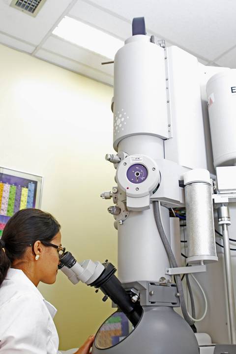 BIOFÁBRICA - CETENE'