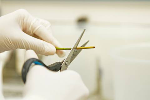 BIOFÁBRICA - CETENE'