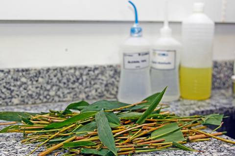 BIOFÁBRICA - CETENE'