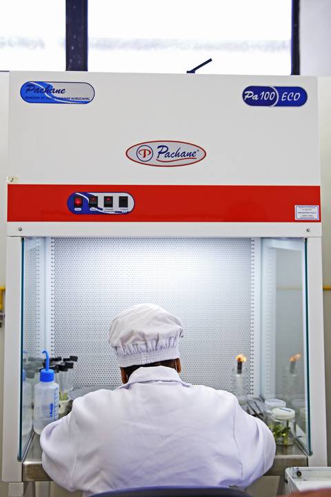 BIOFÁBRICA - CETENE'