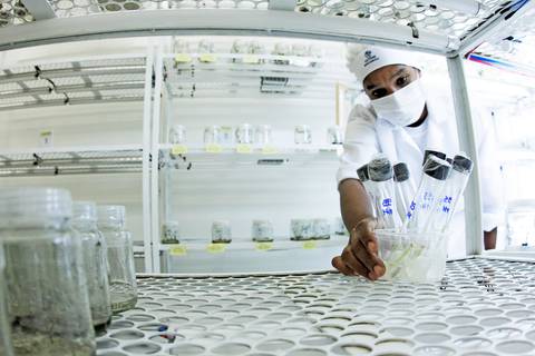 BIOFÁBRICA - CETENE'