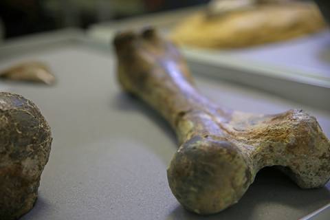 ROCHAS MINERAIS E FÓSSEIS'