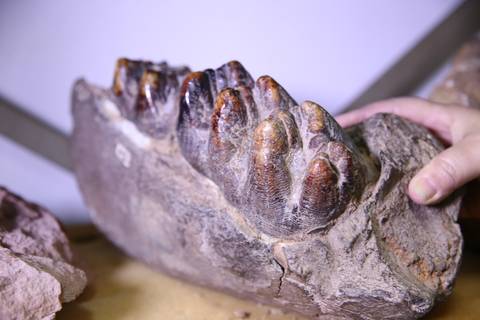 ROCHAS MINERAIS E FÓSSEIS'