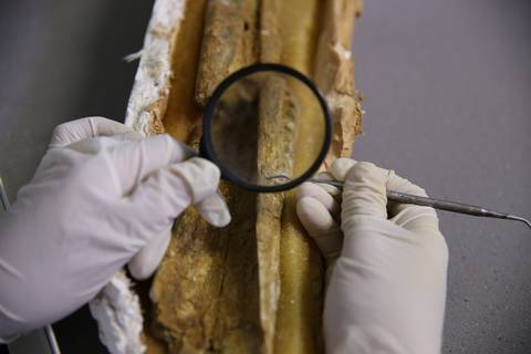 ROCHAS MINERAIS E FÓSSEIS'