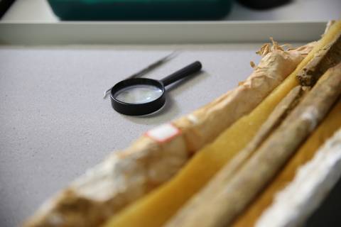 ROCHAS MINERAIS E FÓSSEIS'