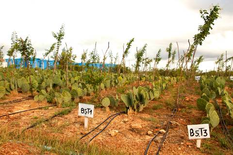 PROJETO ÁGUAS - SISTEMA DE CAPTAÇÃO DAS ÁGUAS DA CHUVA'