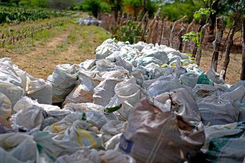 REVITALIZAÇÃO DA PALMA FORRAGEIRA'