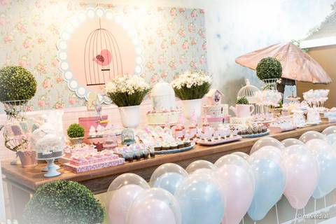 fotografia de festa infantil campinas'