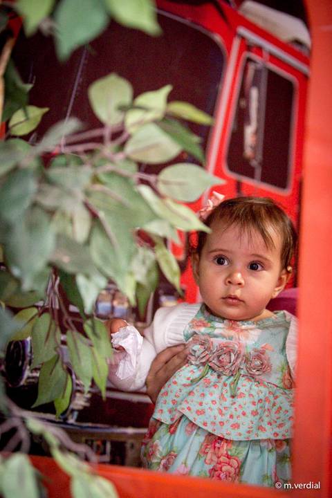 fotografia de festa infantil campinas'