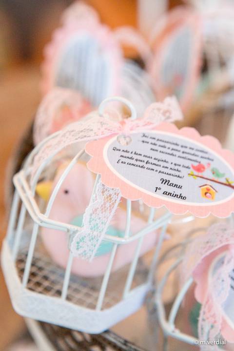 fotografia de festa infantil campinas'