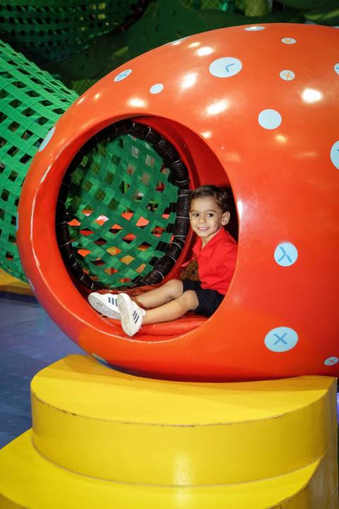 aniversario infantil Campinas'