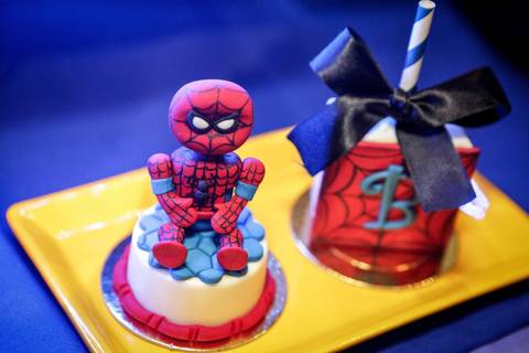 fotografia festa infantil Campinas'