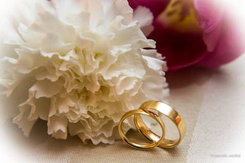 aliaça de noiva Campinas'