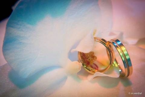 aliança de noiva Campinas'