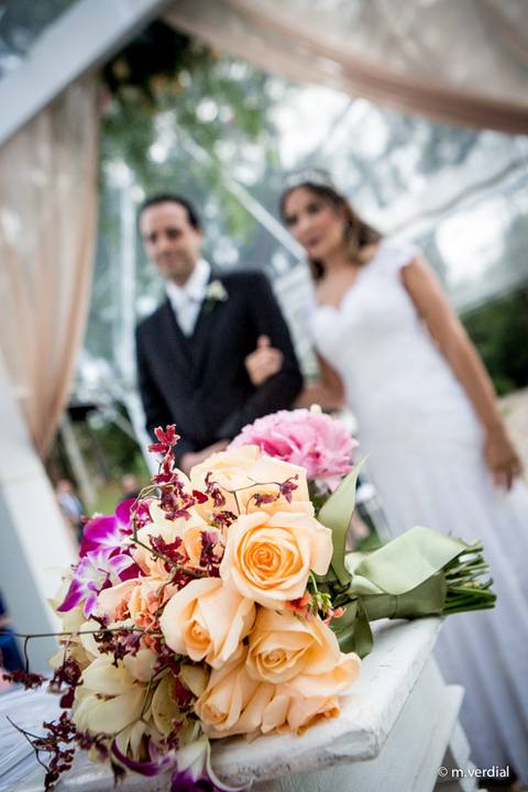 casamento quinta das bromelias'