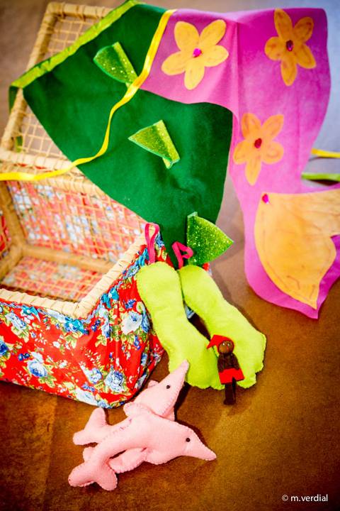 fotografia de ballet Campinas'