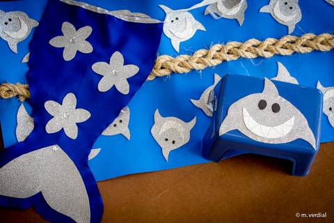 fotografia de ballet Campinas'