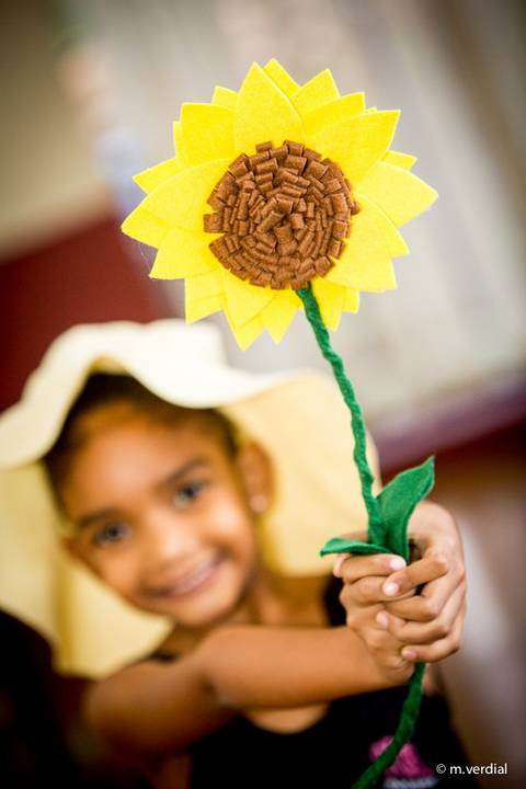 fotografia de ballet Campinasfotografia de ballet Campinas'