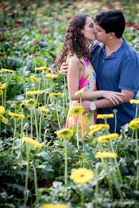 ensaio de noivos holambra'