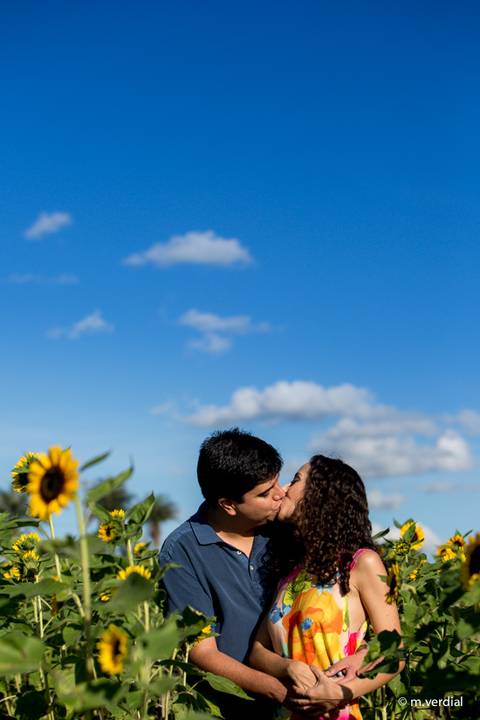 ensaio de noivos holambra'