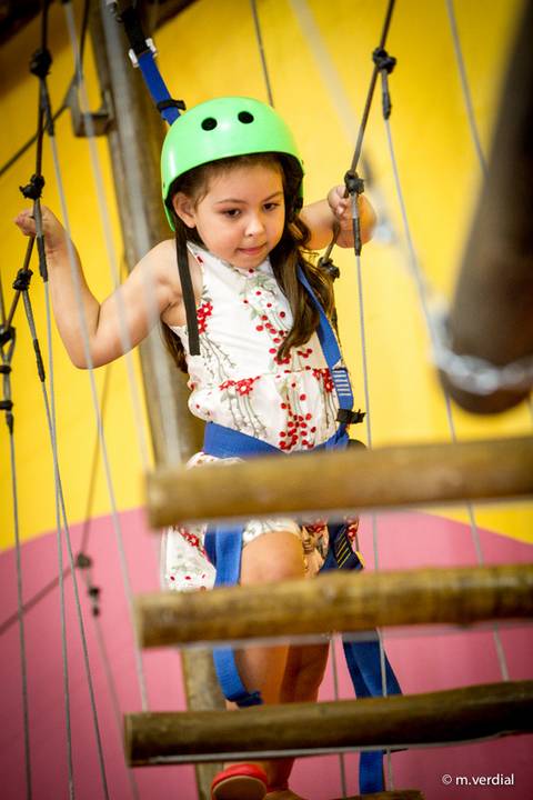 Buffet Catavento arborismo'