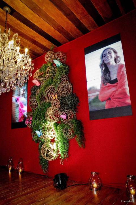 Debutante decoração Hipica campinas Lucimar Possari'