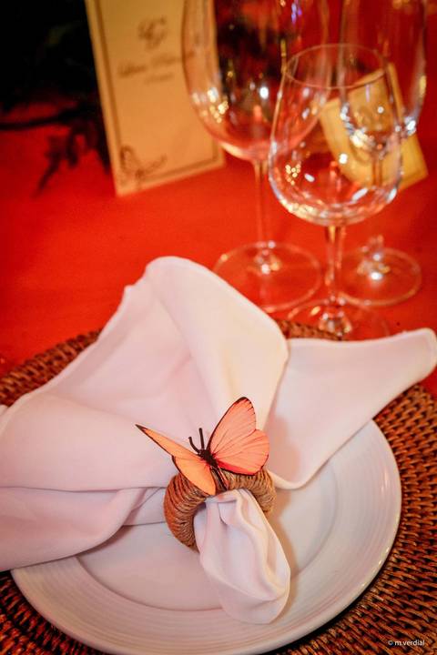 Debutante decoração Hipica campinas Lucimar Possari'