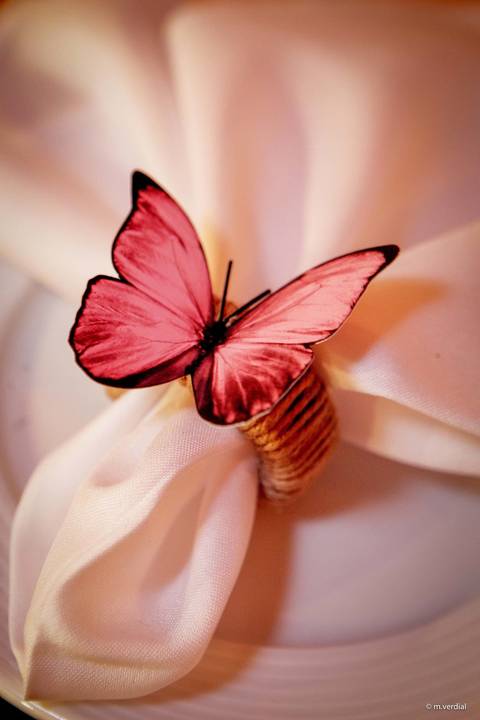 Debutante decoração Hipica campinas Lucimar Possari'