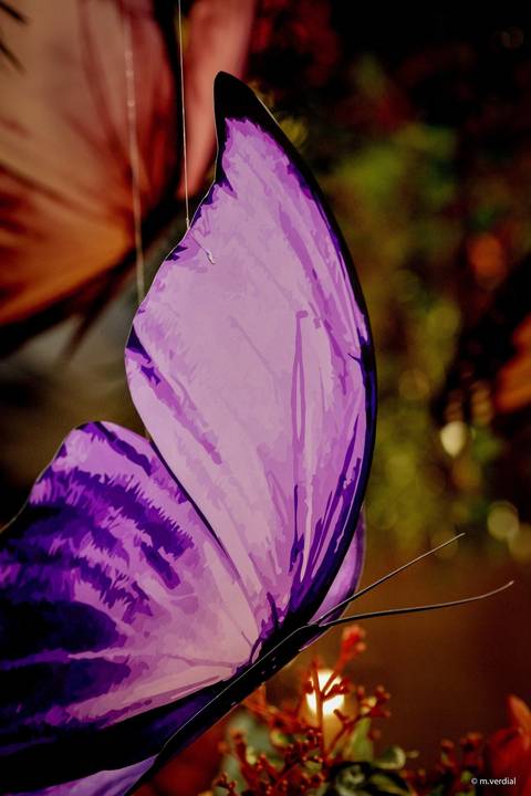 Debutante decoração Hipica campinas Lucimar Possari'