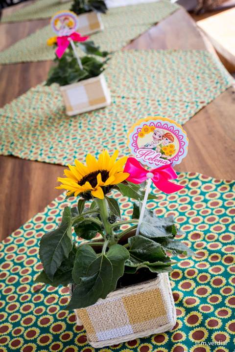 fotografia de festa infantil campinas'