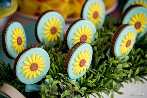 fotografia de festa infantil campinas'