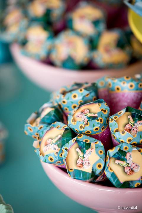 fotografia de festa infantil campinas'