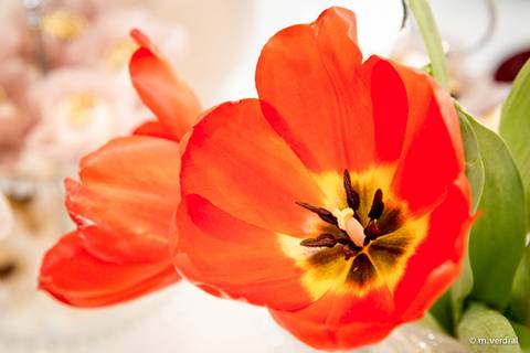 Villa Delikatessen - Decoração Naná Vitachi .'