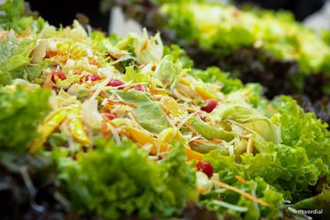 Fotografia de comida Campinas, São Paulo'