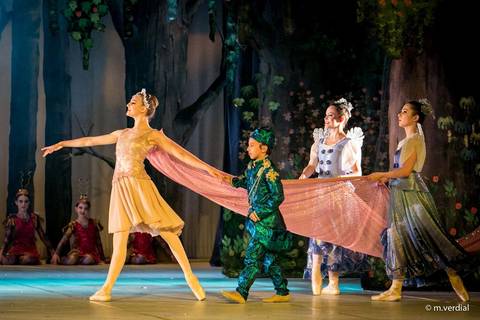 fotografia de ballet - campinas sp'