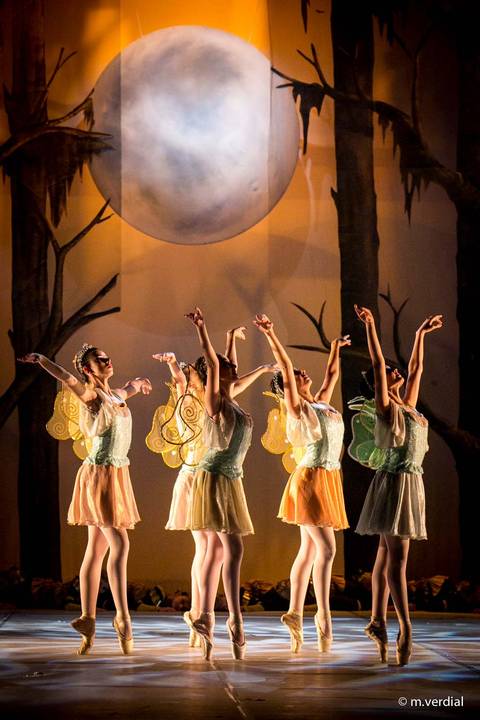 fotografia de ballet - campinas sp'
