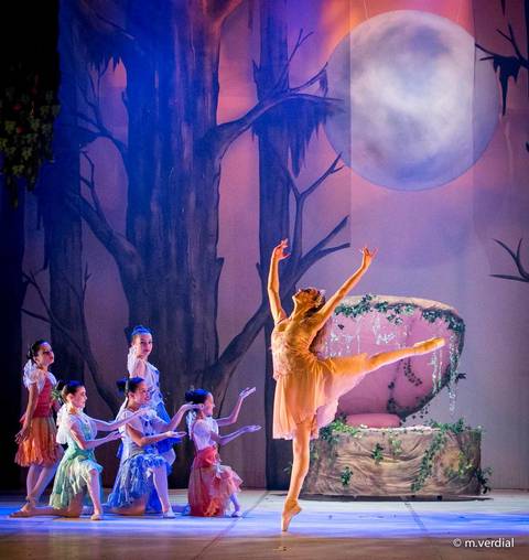 fotografia de ballet - campinas sp'