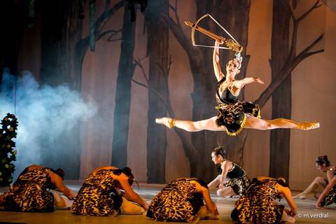 fotografia de ballet - campinas sp'