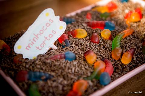 fotografia de festa infantil campinas'